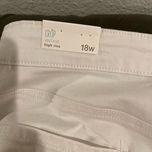 NWT Maurice’s crop